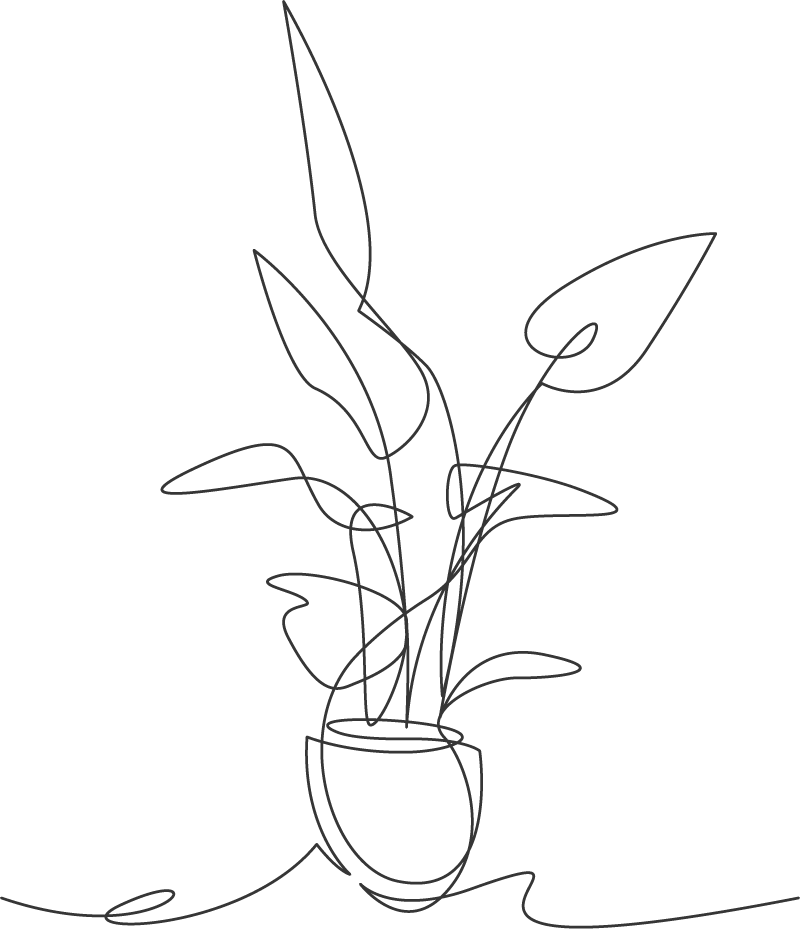 観葉植物